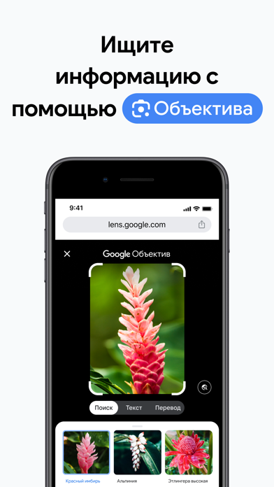 Скриншот Google Chrome 2