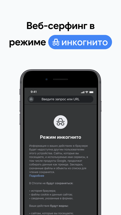 Скриншот Google Chrome 7