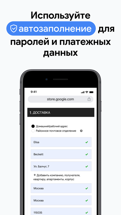 Скриншот Google Chrome 4